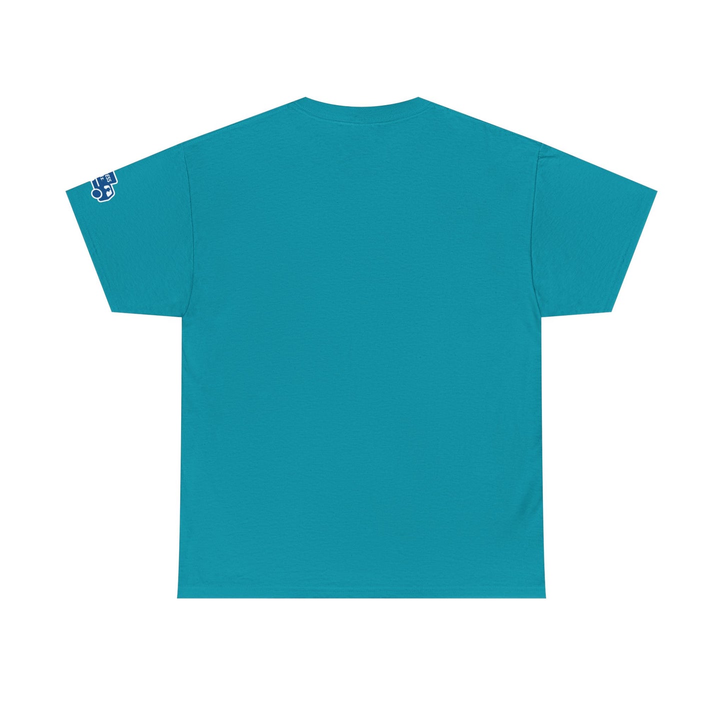 Whether The Weather logo Cotton Tee from Express Kidz (Adult Sizes)