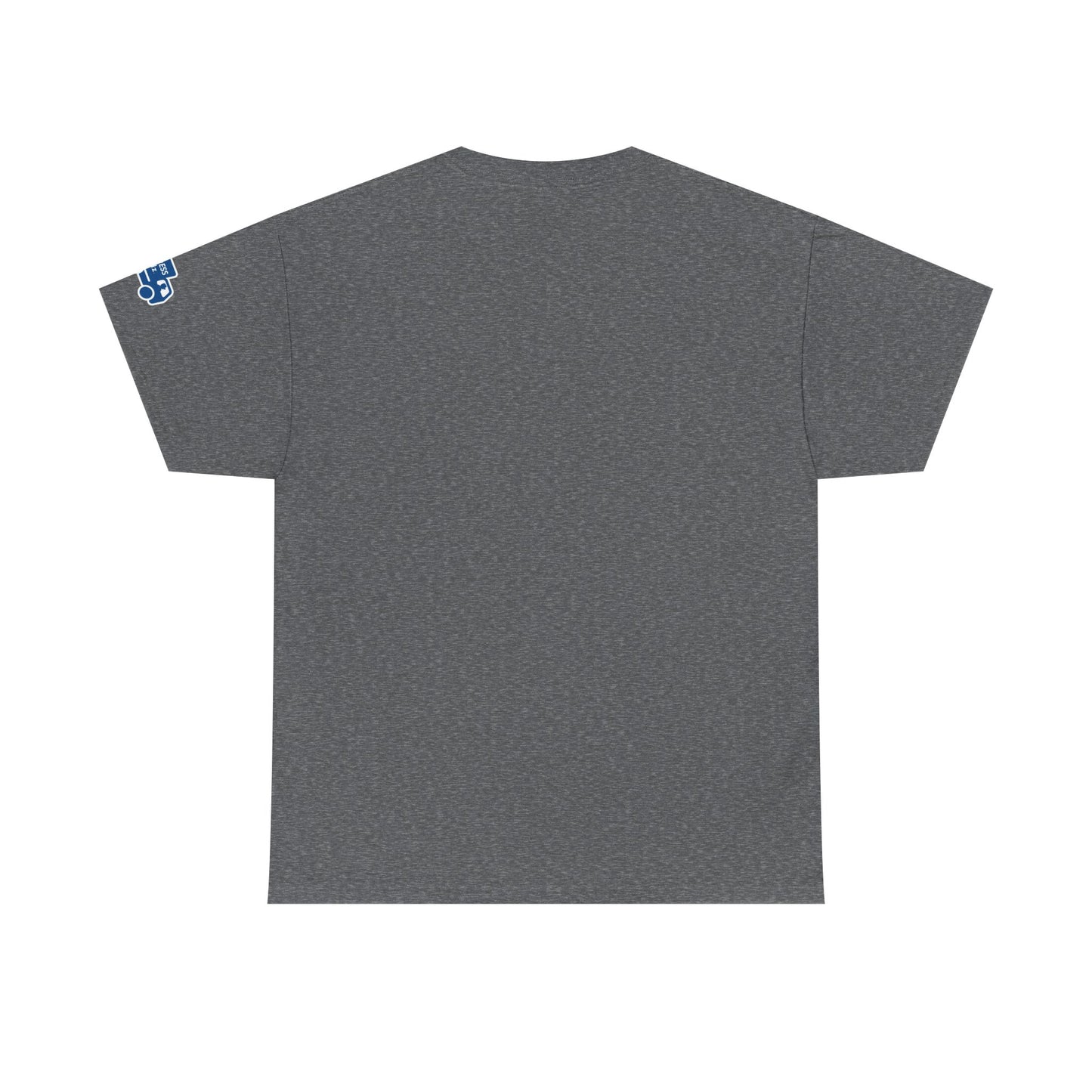 Whether The Weather logo Cotton Tee from Express Kidz (Adult Sizes)